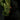 Tactical Jacket Bravo - Olive Drab - lifestyle